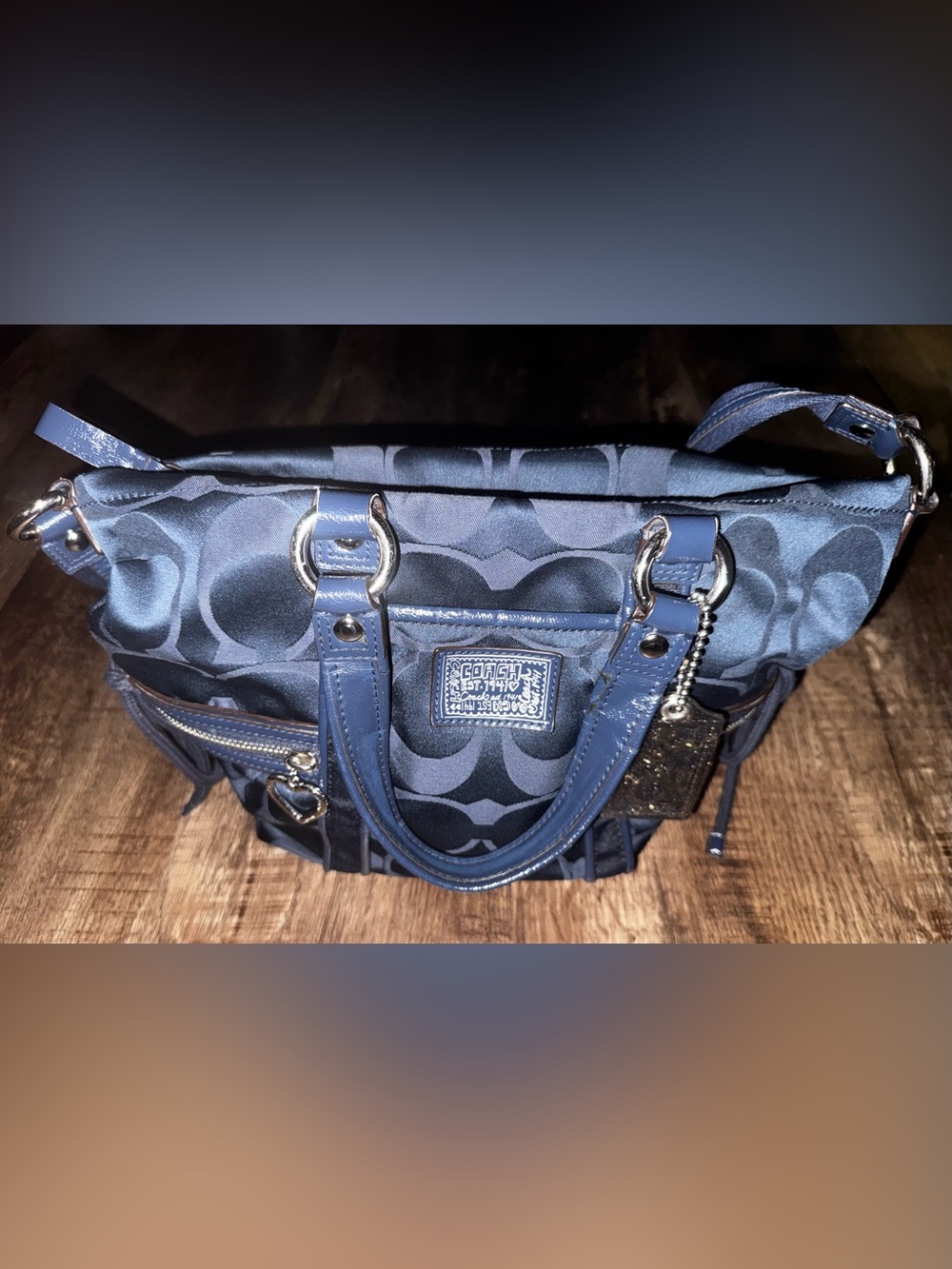 Coach Poppy 2012 Daisy Signature C F20101
